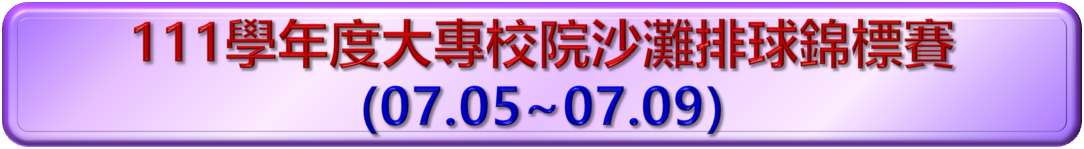 112沙灘排