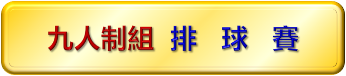 九人制排球賽